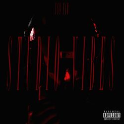 Cover of STUDIO VIBEZ