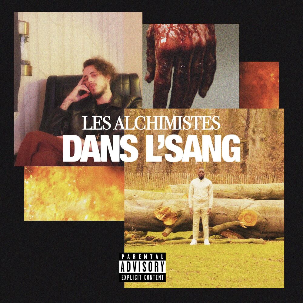 Picture of Dans L'sang