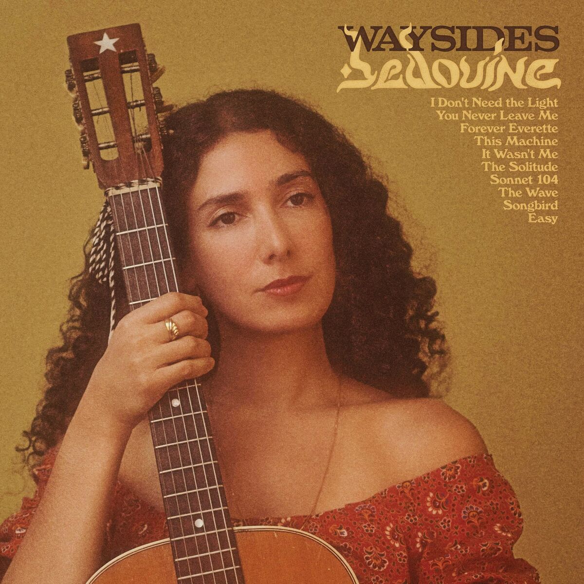 Album cover of The Solitude