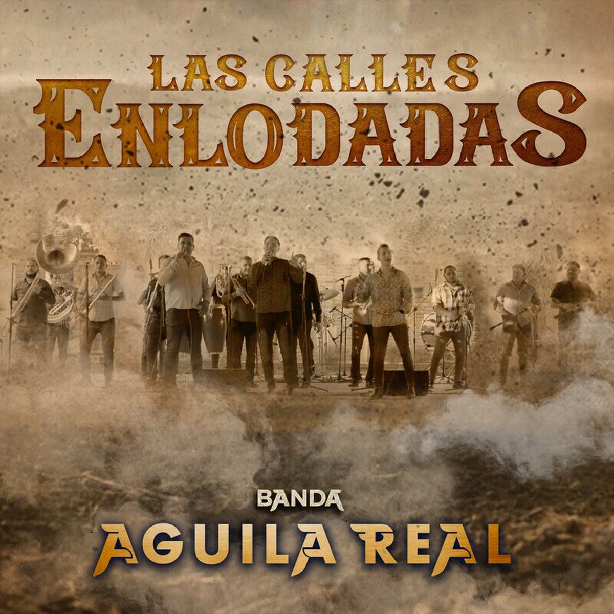 Album cover of Las Calles Enlodadas