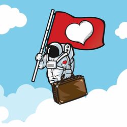 Cover of Red Flag