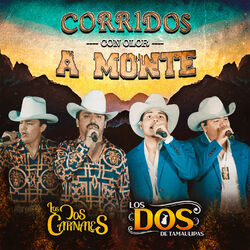 Cover of Corridos Con Olor a Monte (En Vivo)