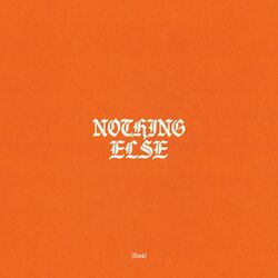 Cover of Nothing Else (Live)