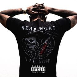 Cover of Reap What You Sow
