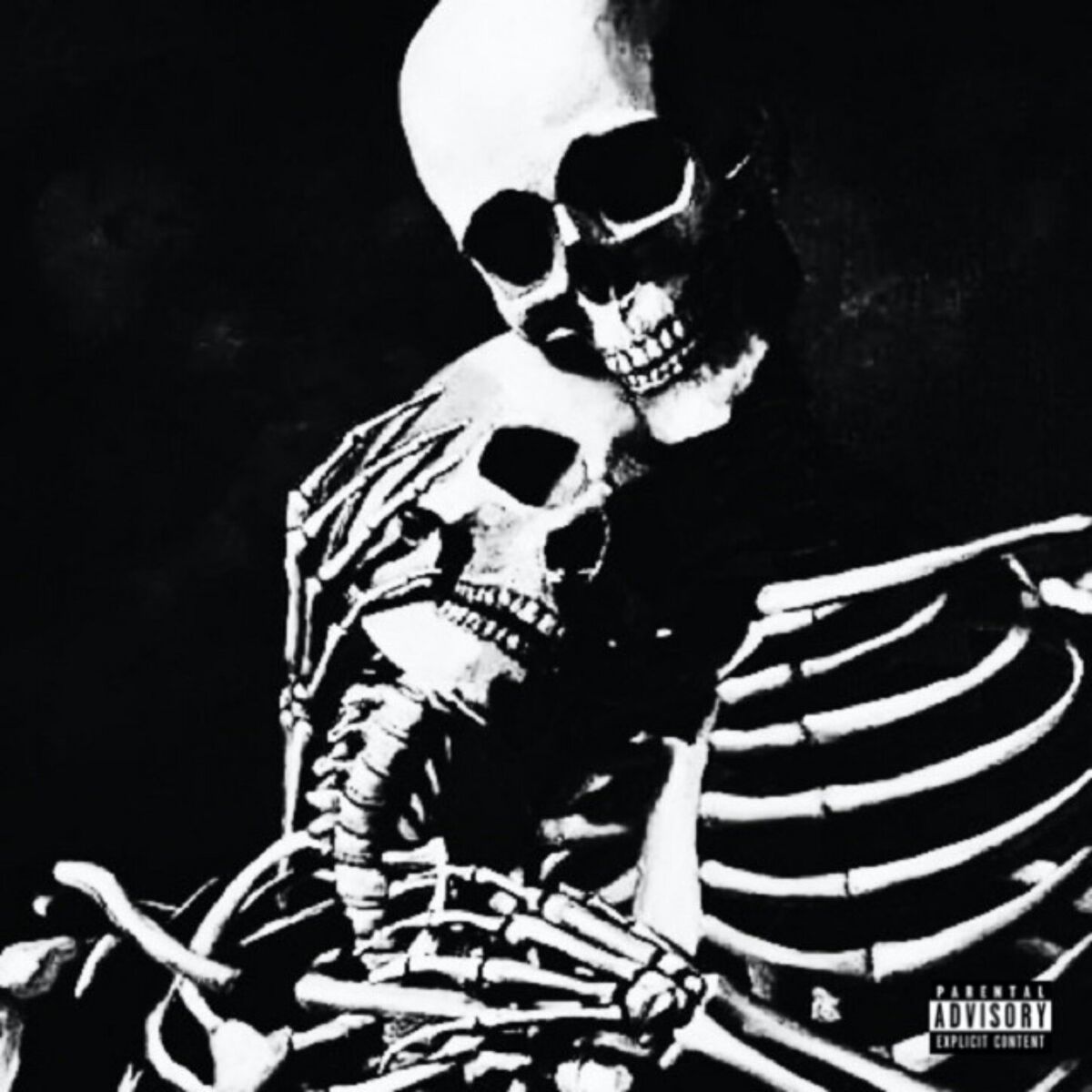 Album cover of Nights by the Lawn