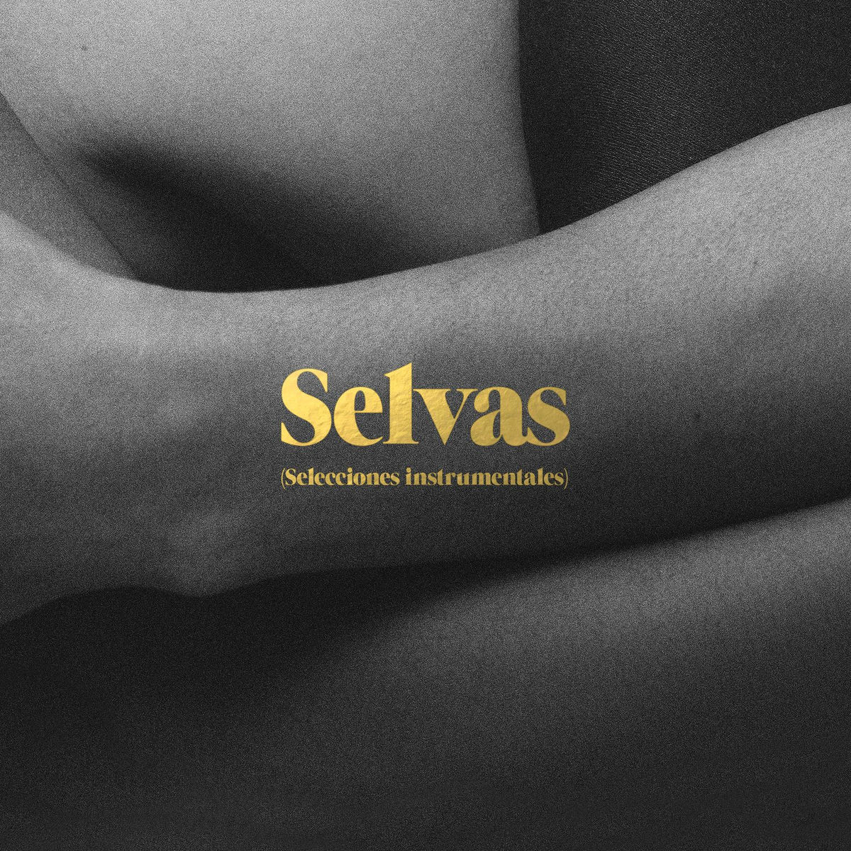 Album cover of Selvas (Selecciones Instrumentales)