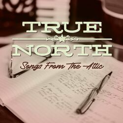 Cover of Songs from the Attic