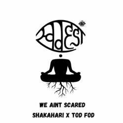 Cover of We Aint Scared