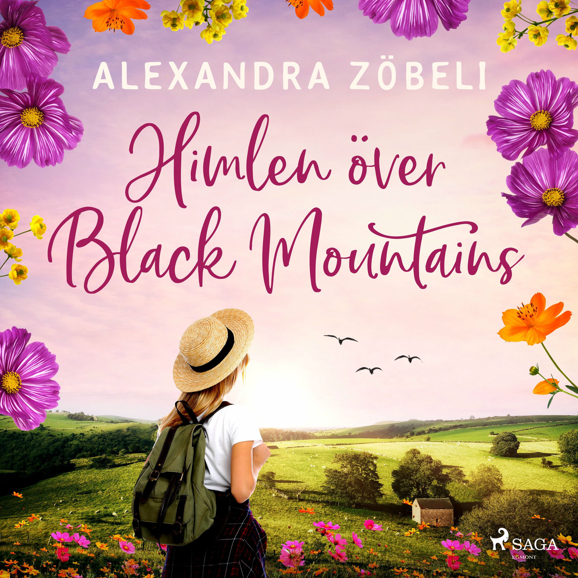 Album cover of Himlen över Black Mountains