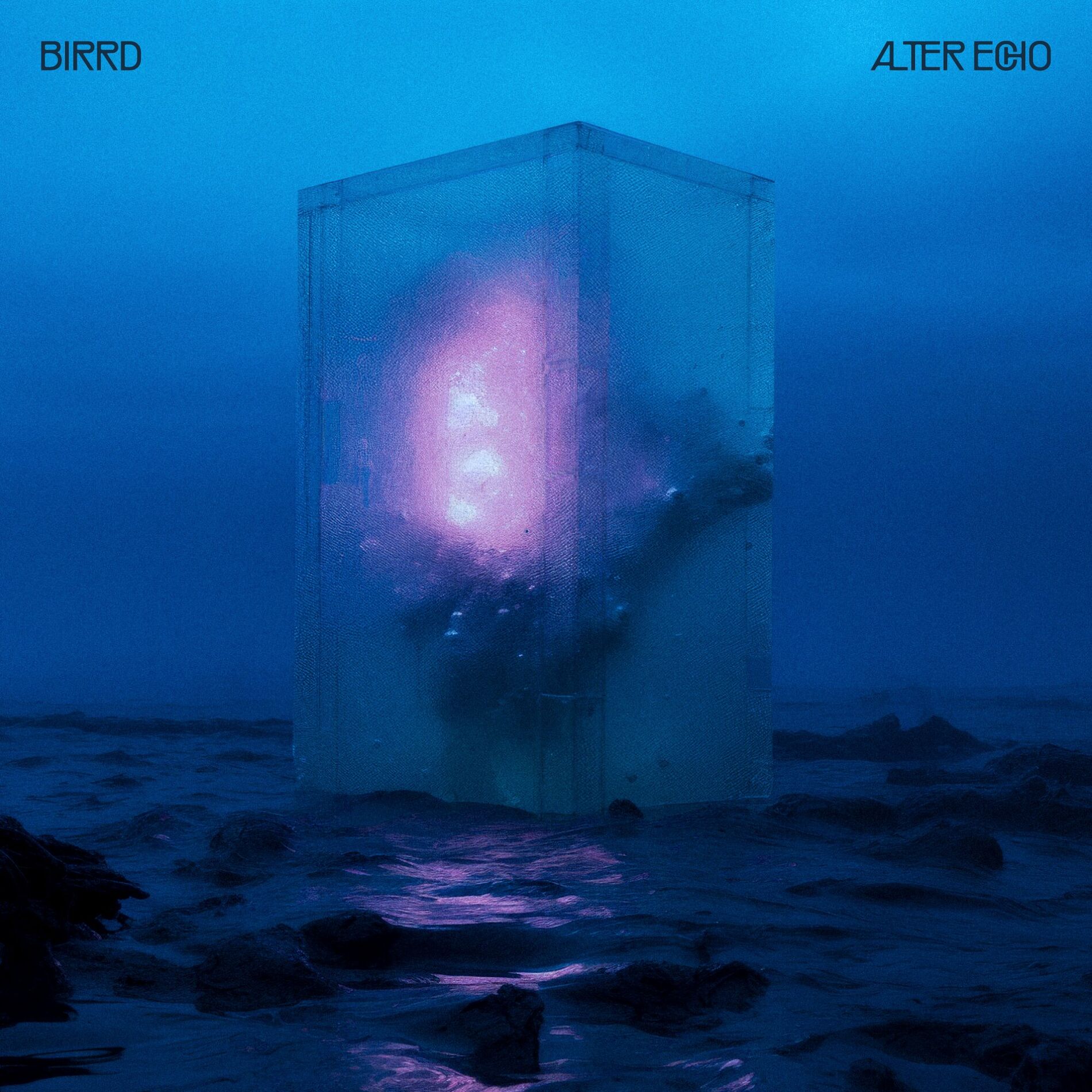 Album cover of Alter Echo