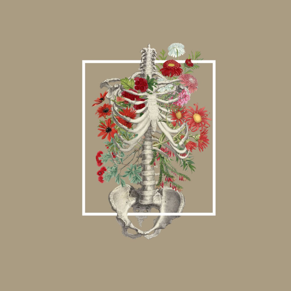 Picture of Floral Bones