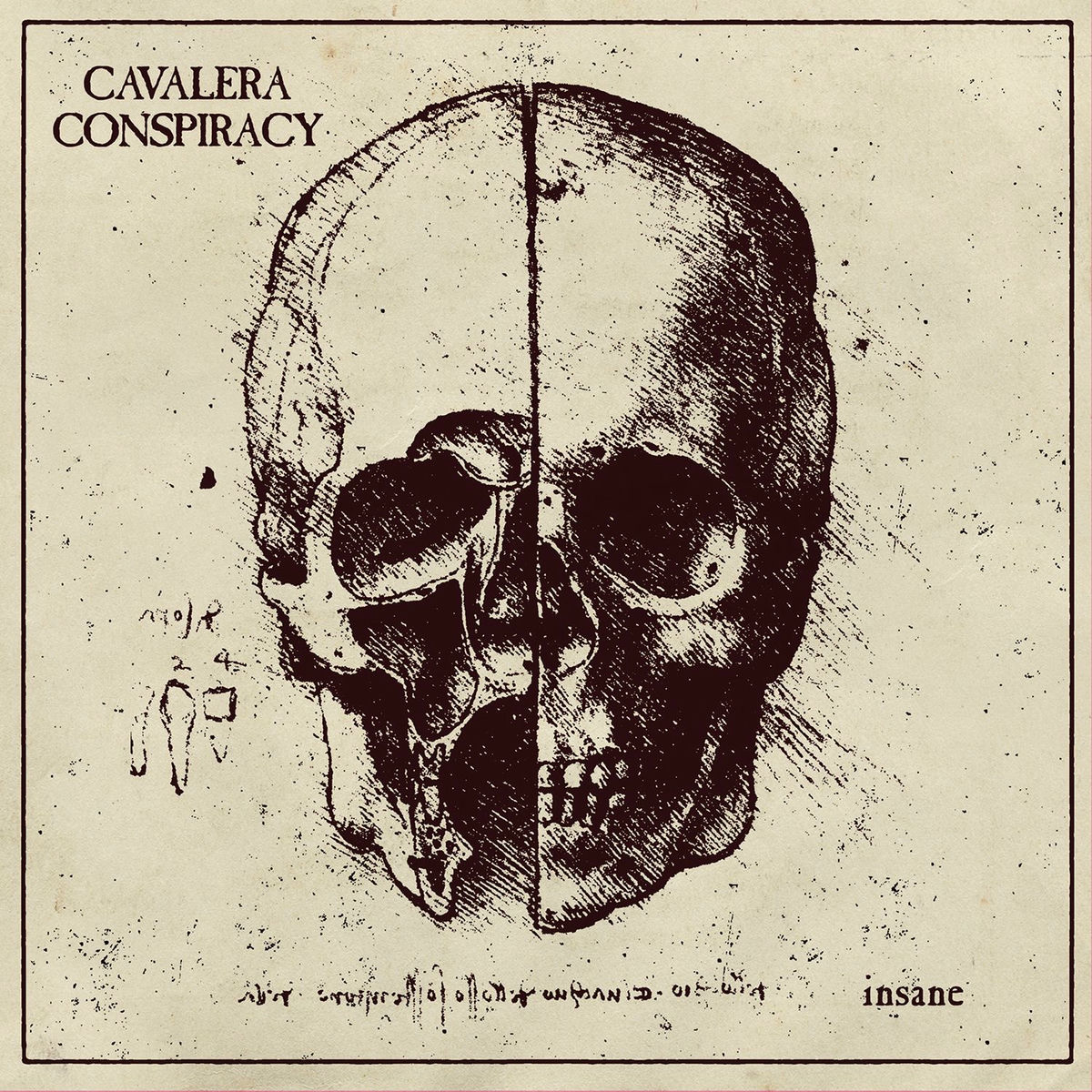 Album cover of Insane