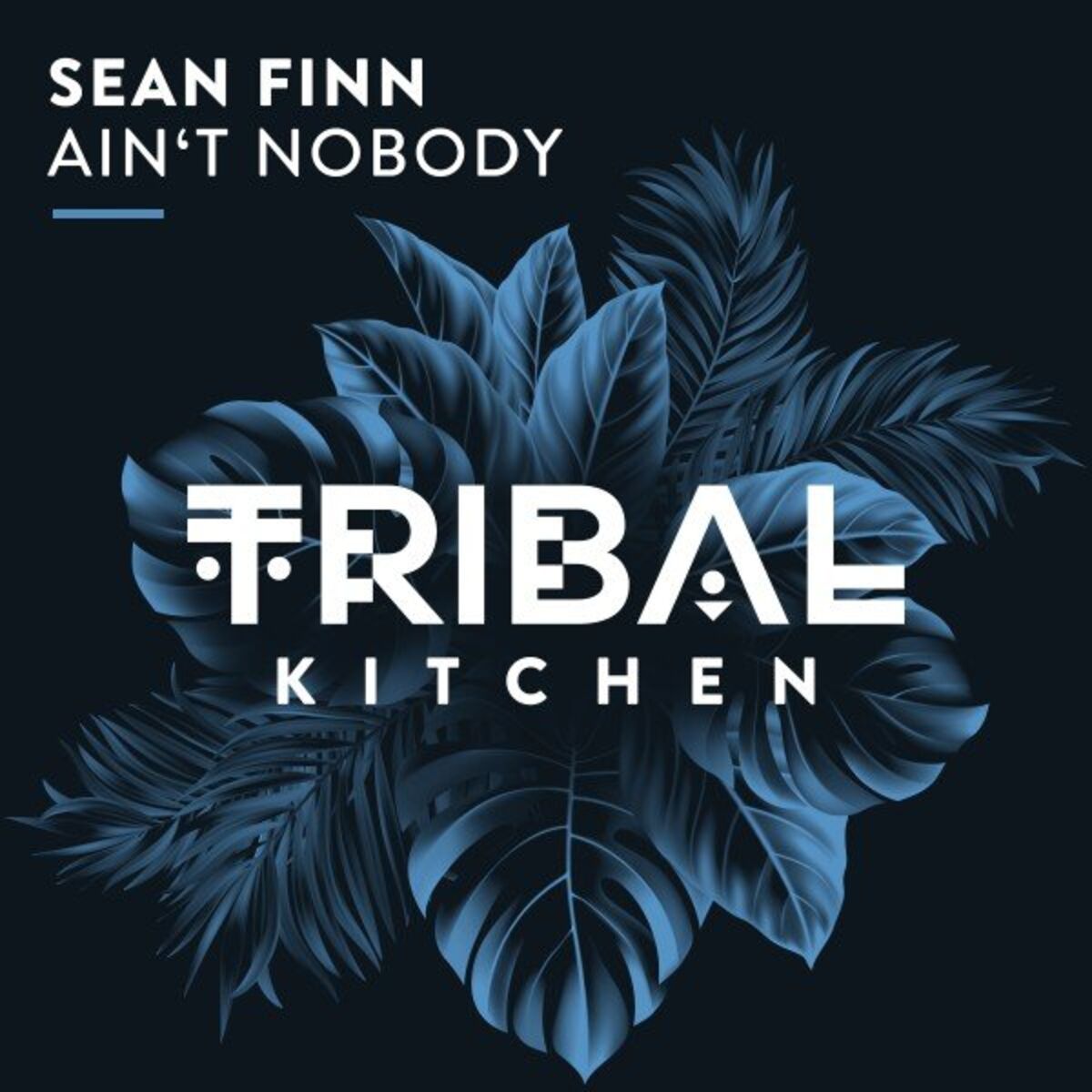 Album cover of Ain't Nobody