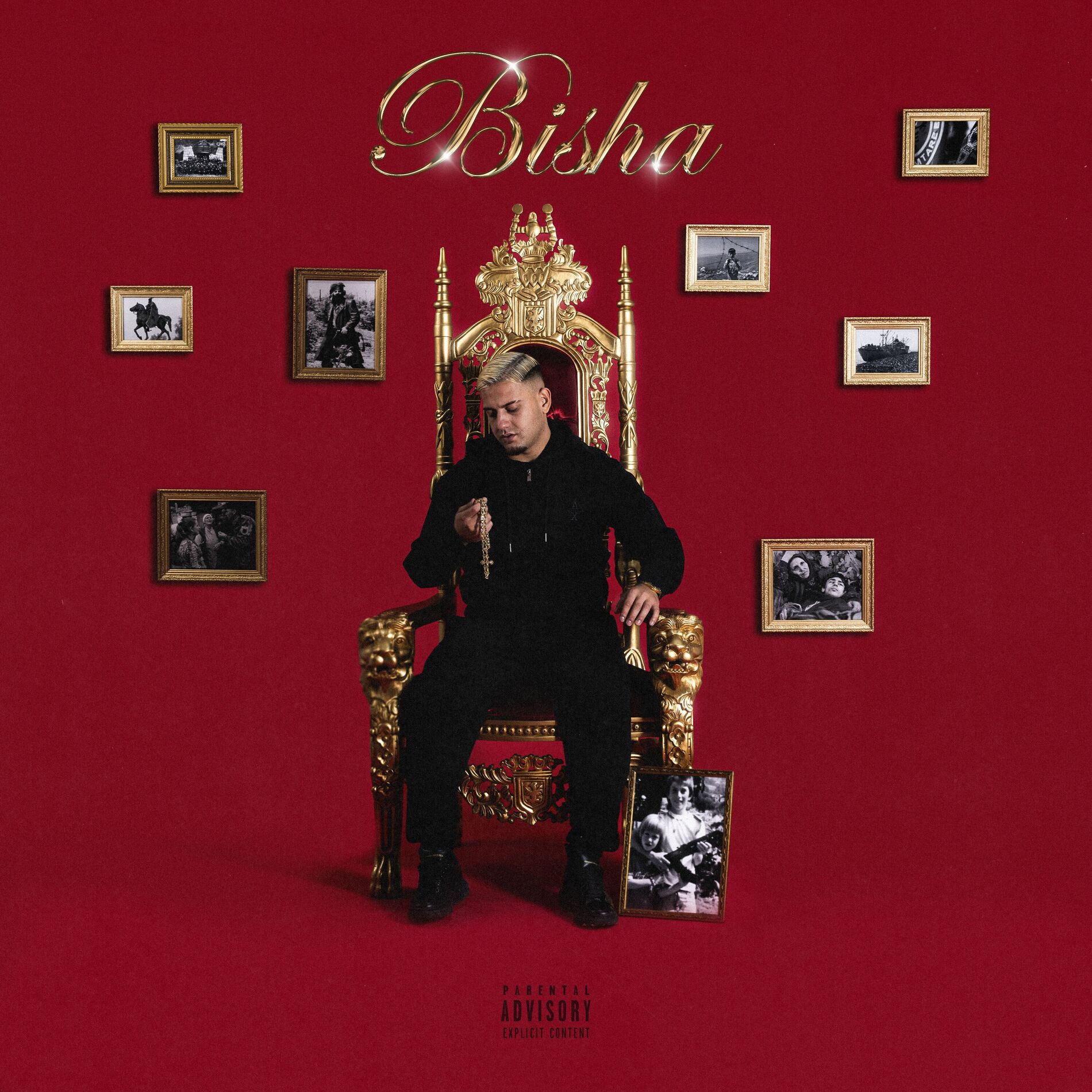Album cover of BISHA