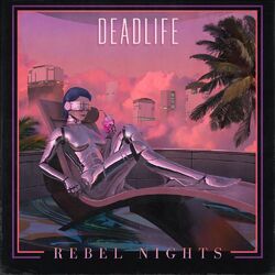 Cover of Rebel Nights