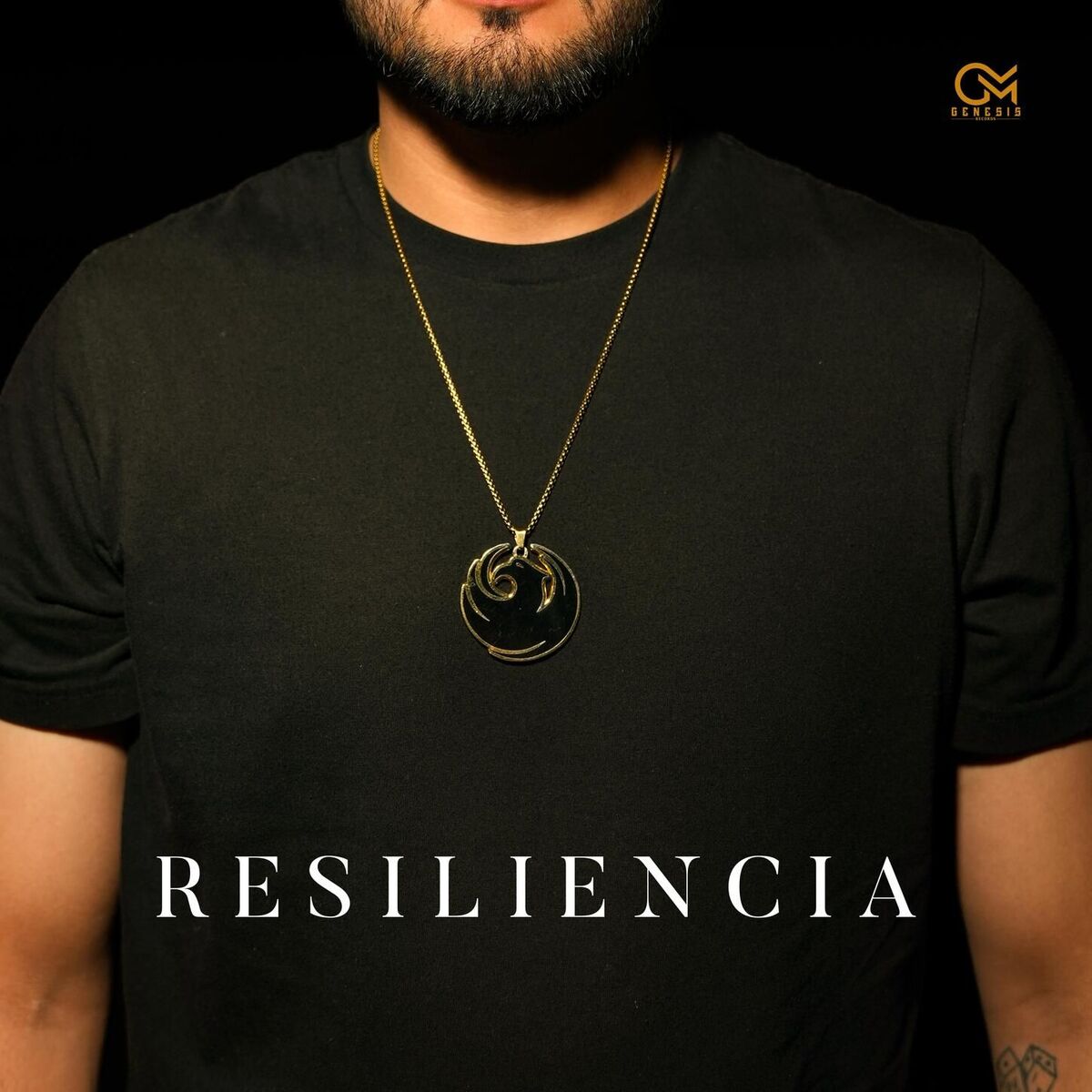 Album cover of Resiliencia