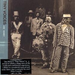 Cover of Tiny Voices