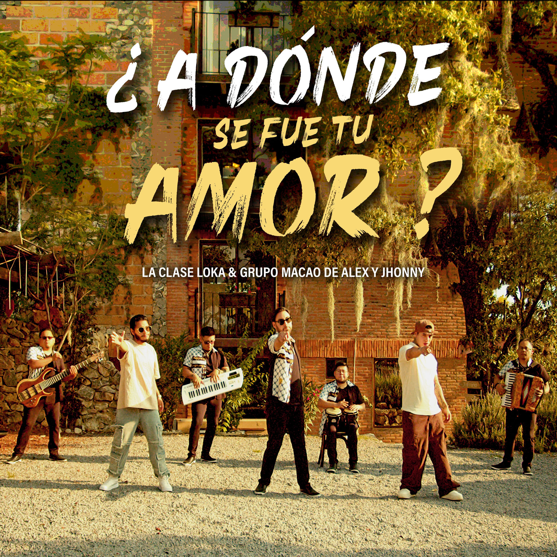 Album cover of ¿A Dónde Se Fue Tu Amor?