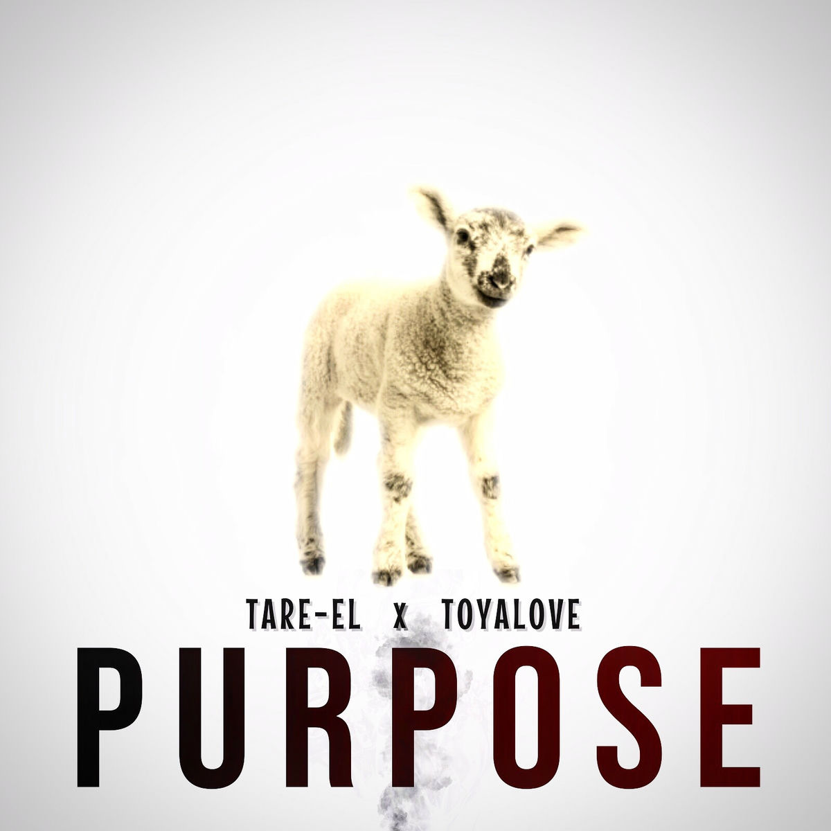 Album cover of Purpose