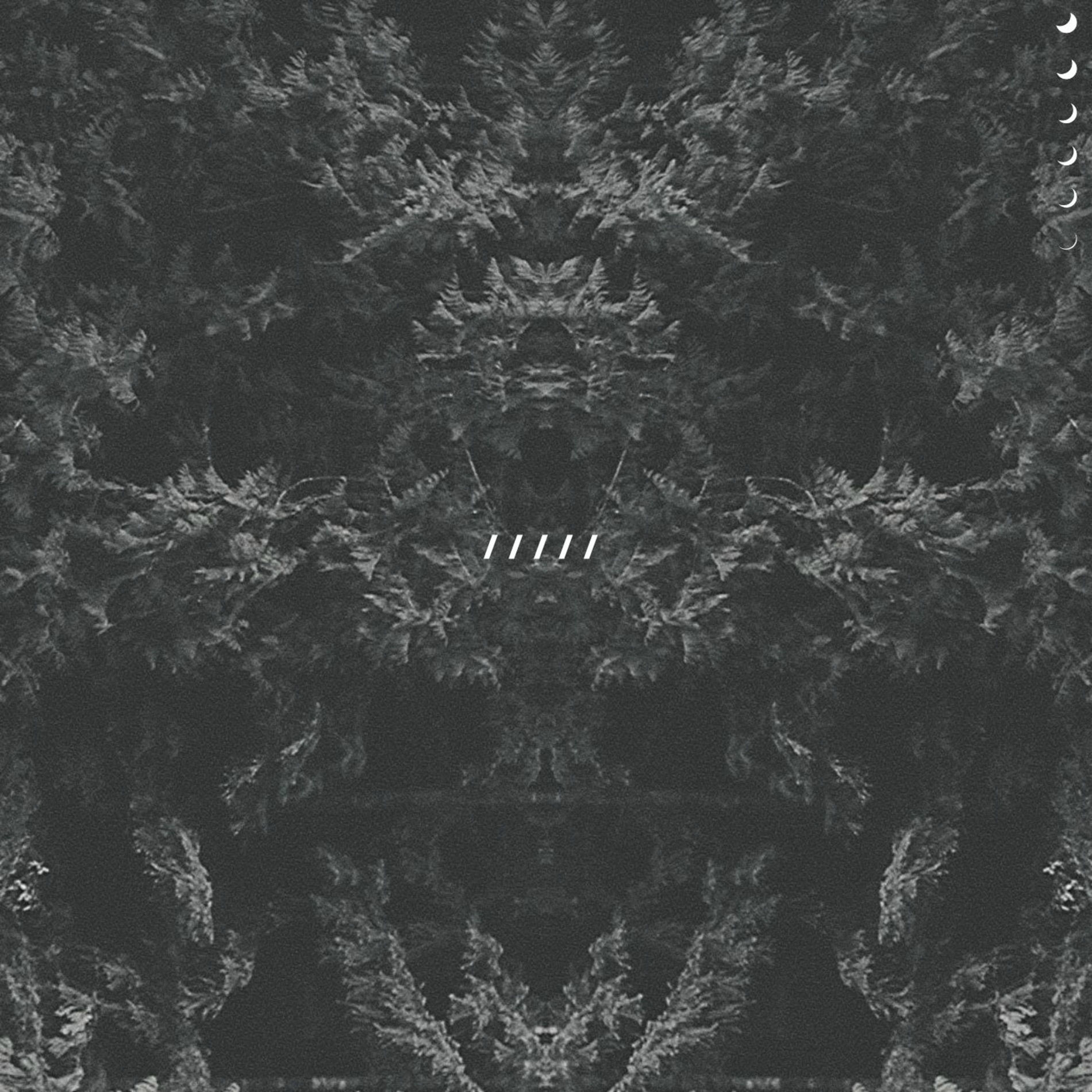 Album cover of nemesis