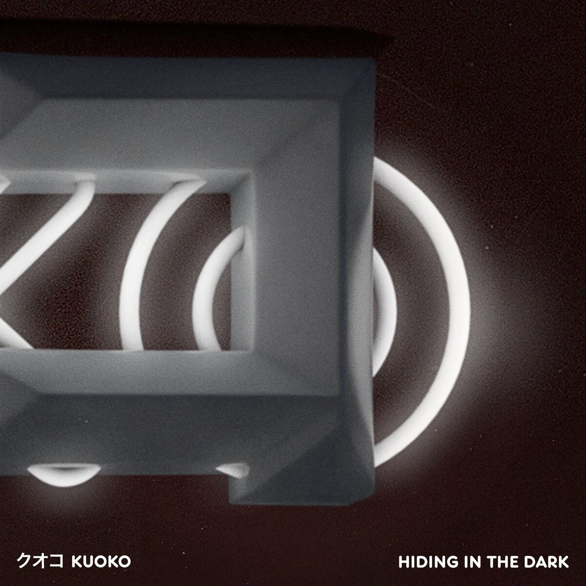 Album cover of Hiding In The Dark