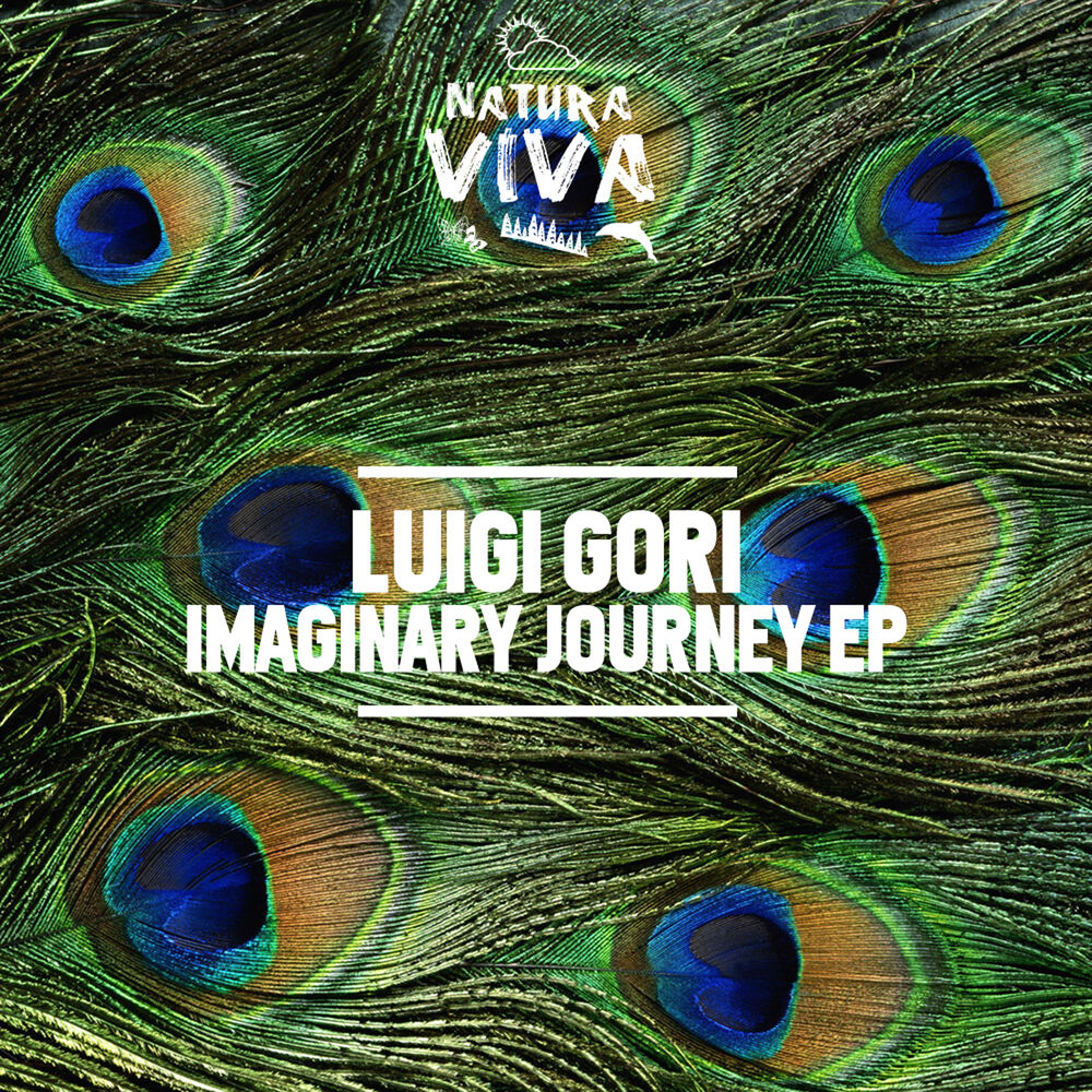 Picture of Imaginary Journey
