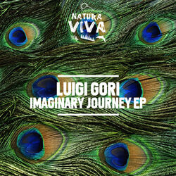 Cover of Imaginary Journey