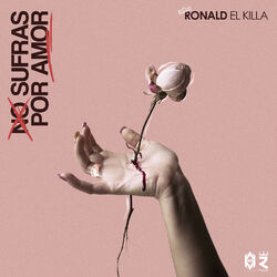 Cover of No Sufras por Amor