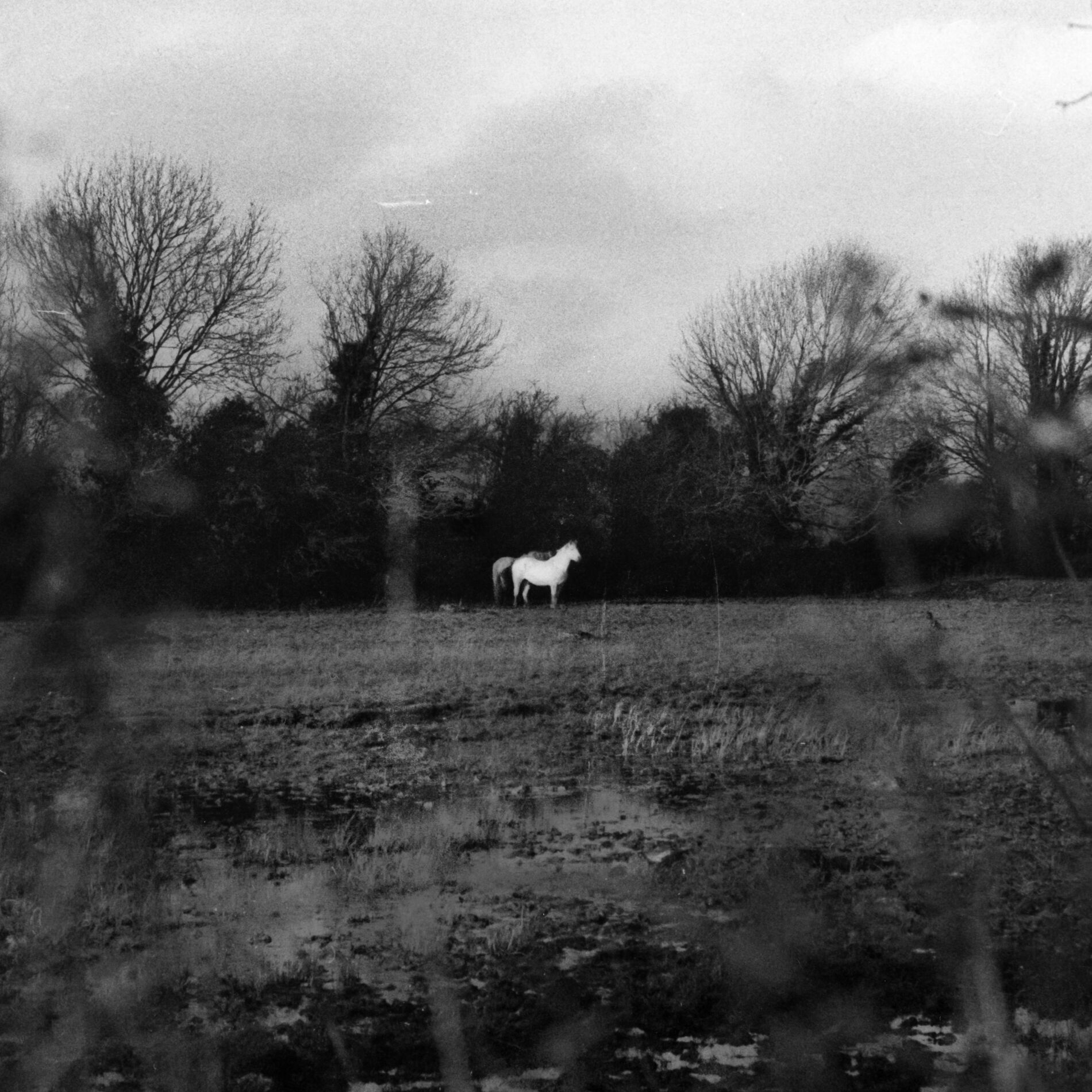 Album cover of when you run away, do you close your eyes