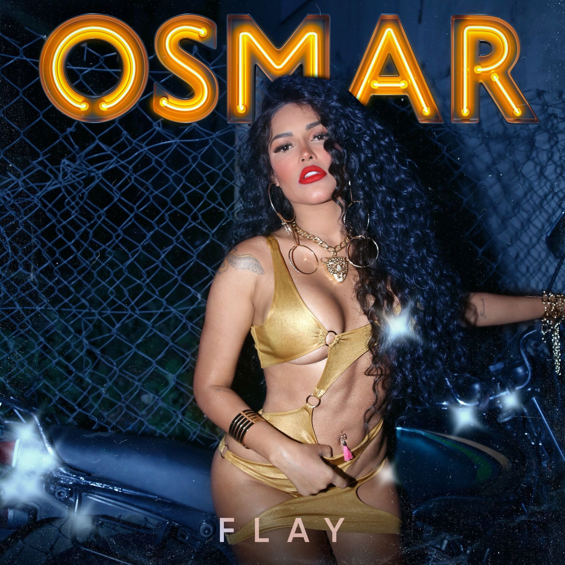 Album cover of Osmar