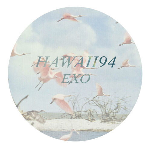 EXO (A collection of B-Sides) artwork