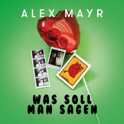Cover of Was soll man sagen