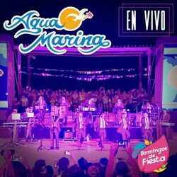 Cover of Domingos de fiesta (En Vivo) (En Vivo)