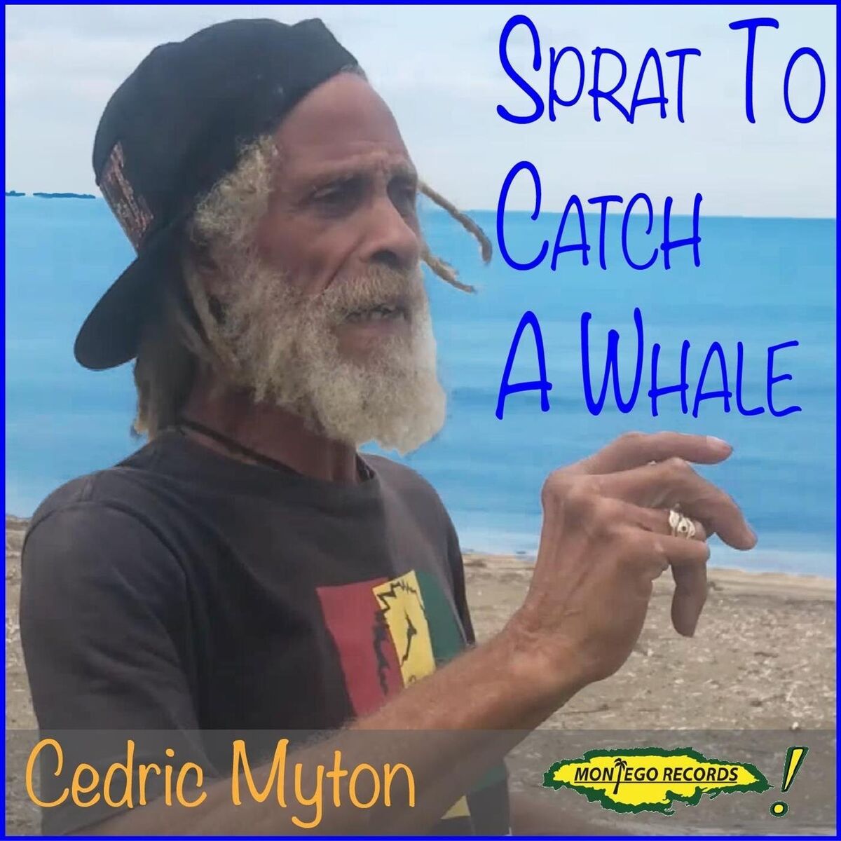 Album cover of Sprat to Catch a Whale