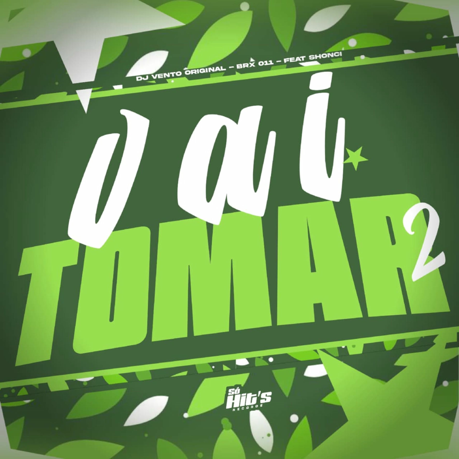 Album cover of Vai Tomar 2