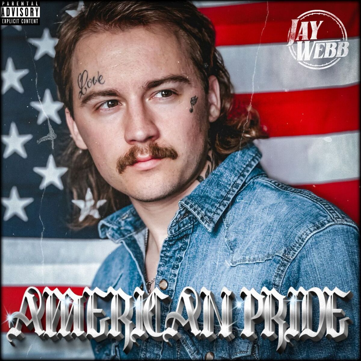 Album cover of American Pride
