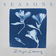 Seasons by Rhys Lewis album cover