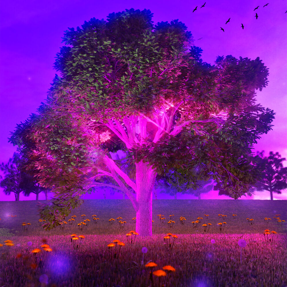 Picture of Home