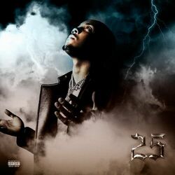 Cover of 25