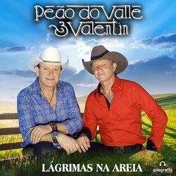 Cover of Lágrimas na Areia