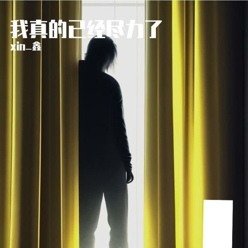 我真的已经尽力了