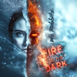 Cover of Fire In The Dark