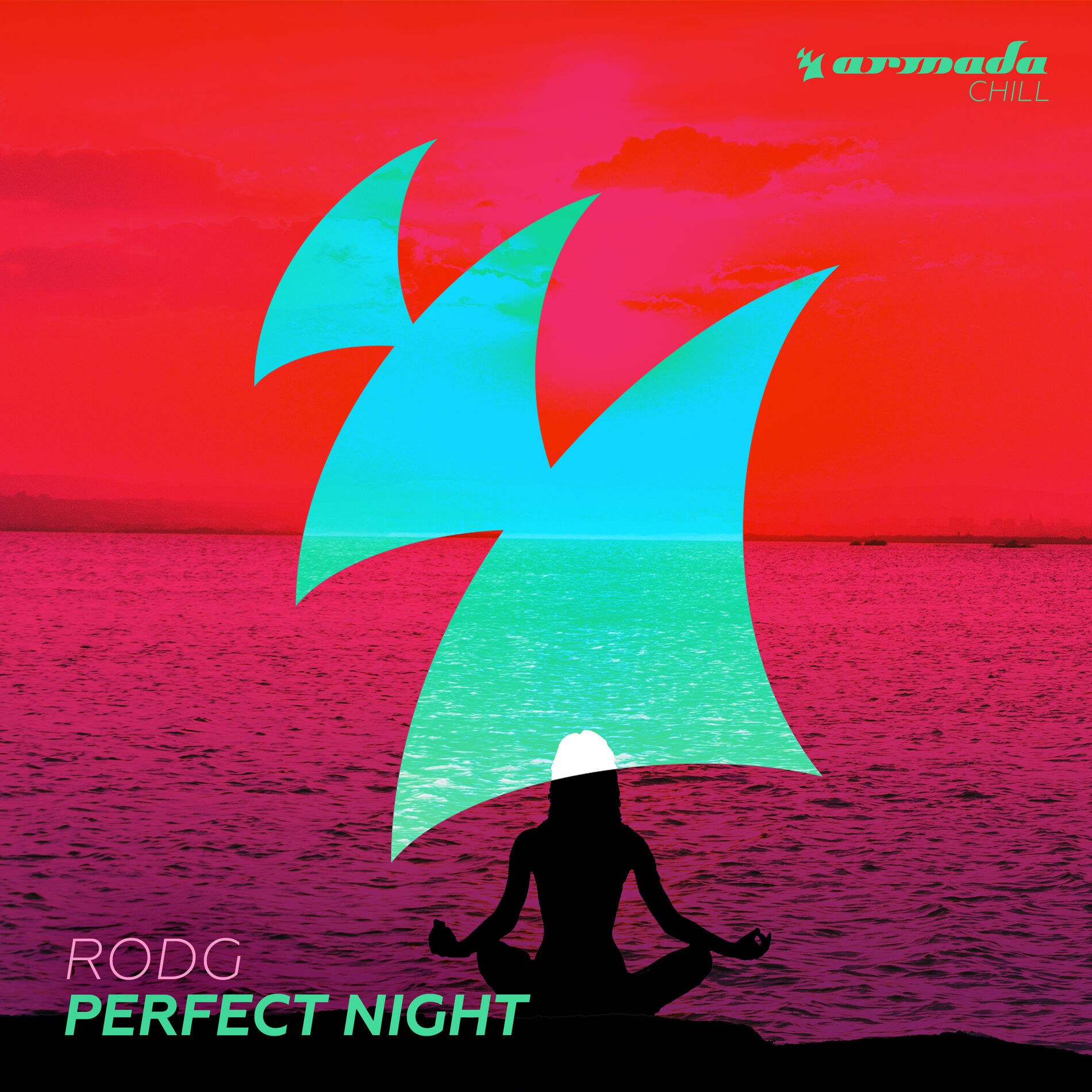 Album cover of Perfect Night