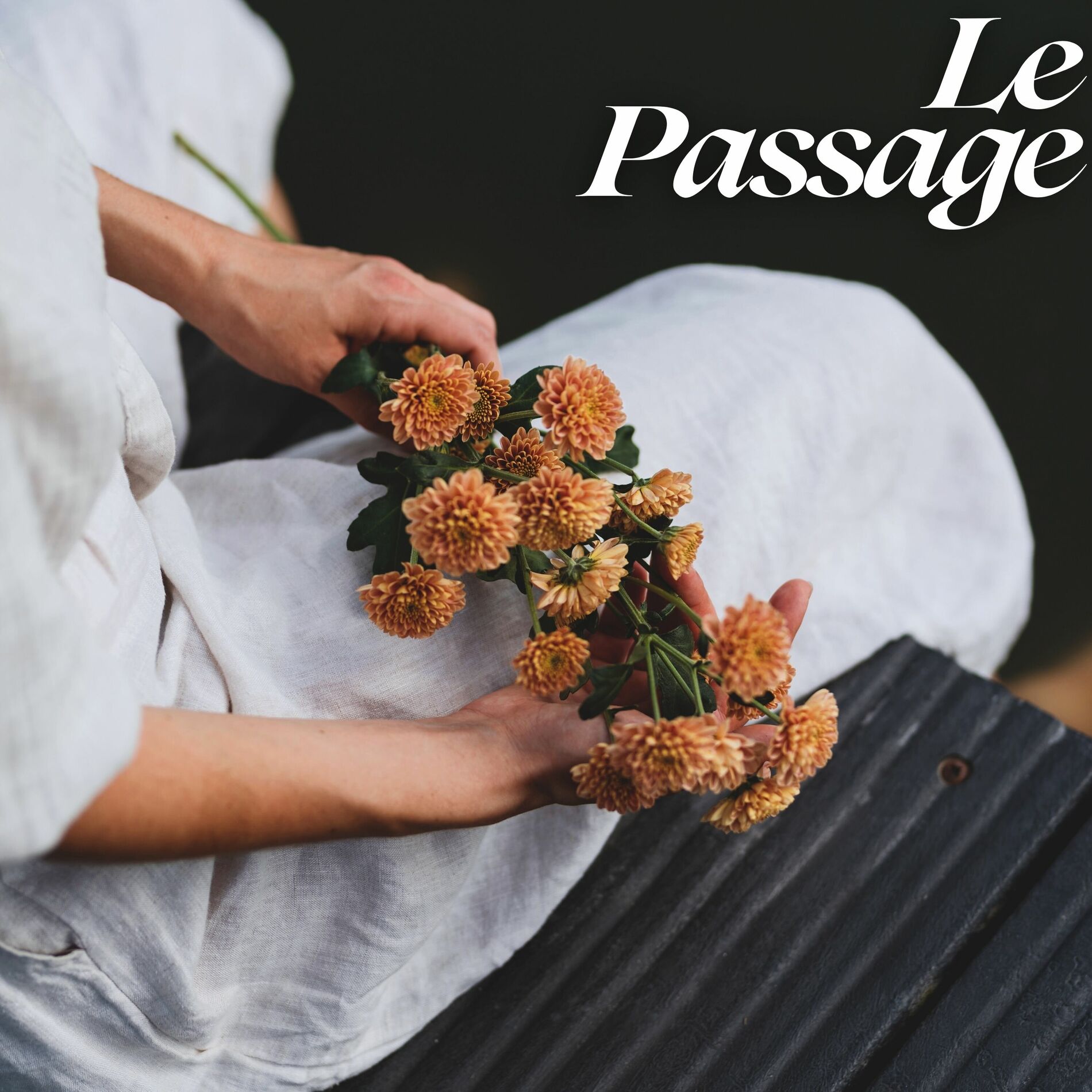 Album cover of Le Passage: Chants de Méditation Bouddhistes