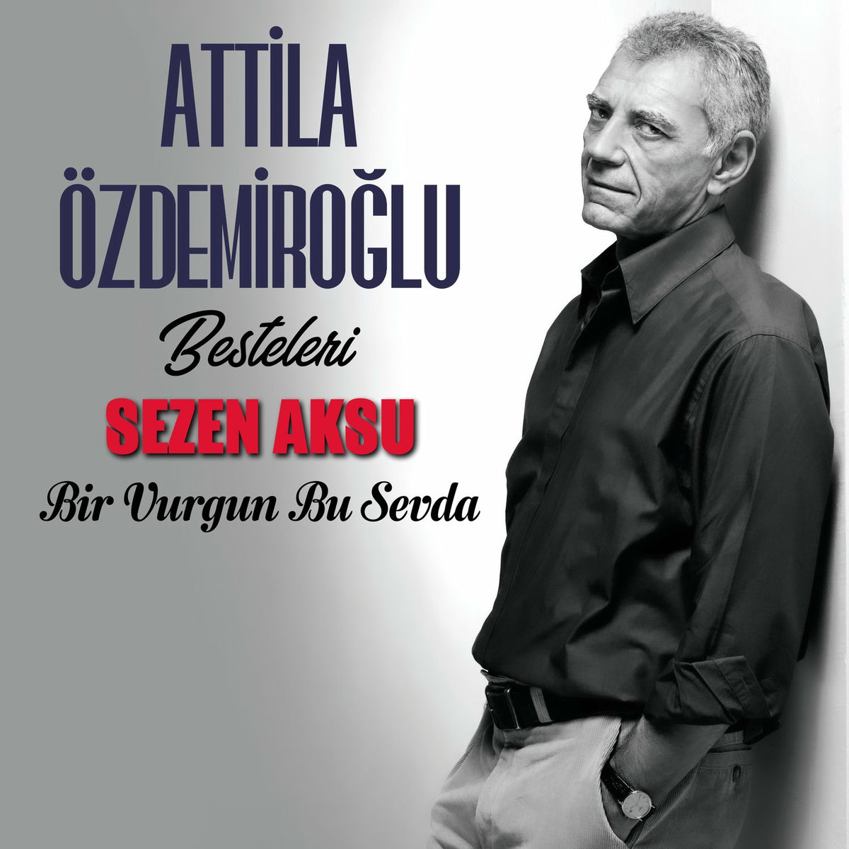 Album cover of Bir Vurgun Bu Sevda