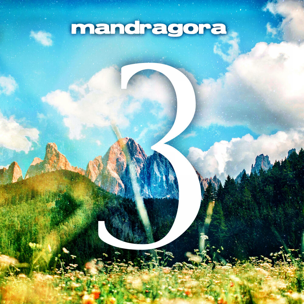 Picture of Disc 3