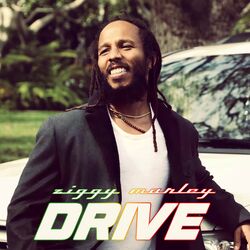 Cover of Drive