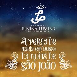 Cover of A Peleja de Maria em Busca da Noite de São João