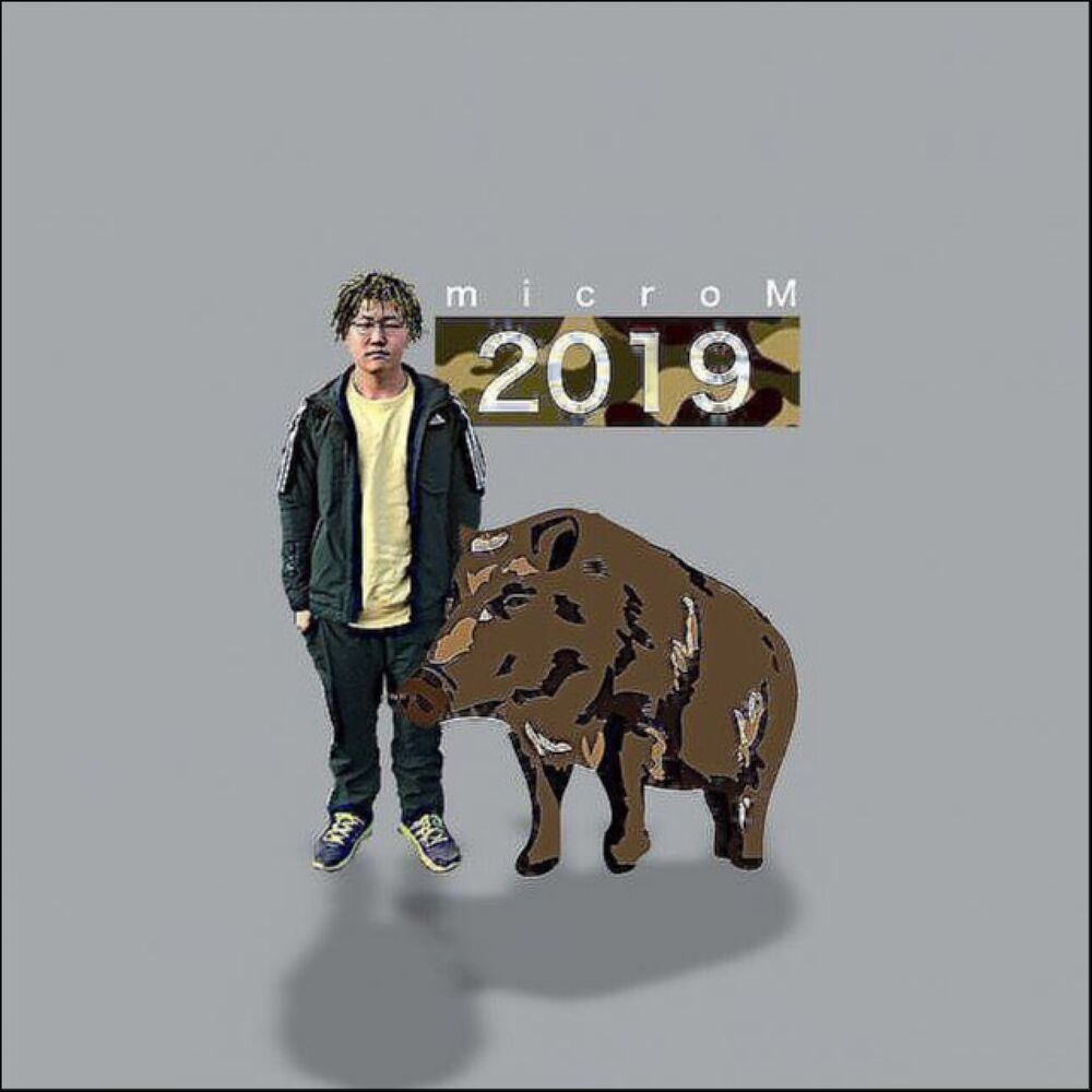 Picture of 2019