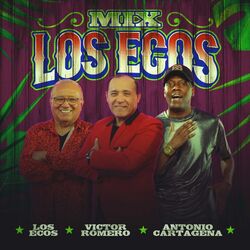 Cover of Mix los Ecos (Dame Tu Amor/ Temo/ Indolencia/ No Se Puede Amar a Dos)